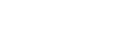 Logo Footer